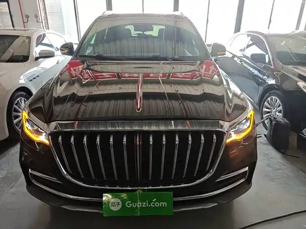 Hongqi HS7 2019