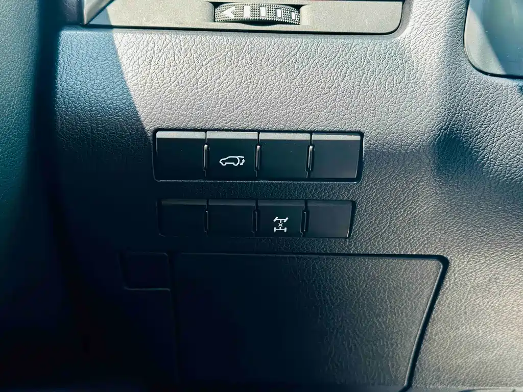Lexus RX 2019 — фото 14