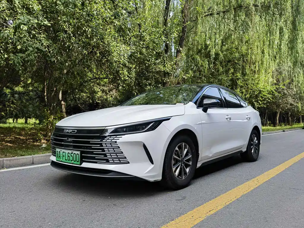 BYD Destroyer 05 2024 — фото 1