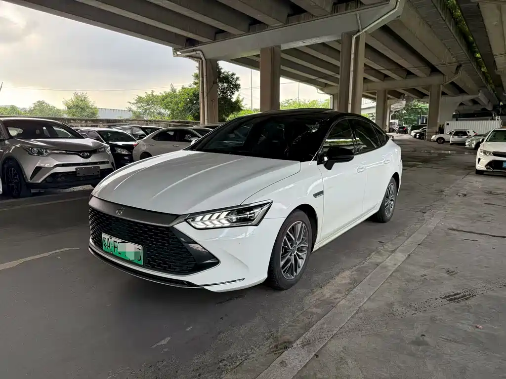 BYD Qin PLUS 2021