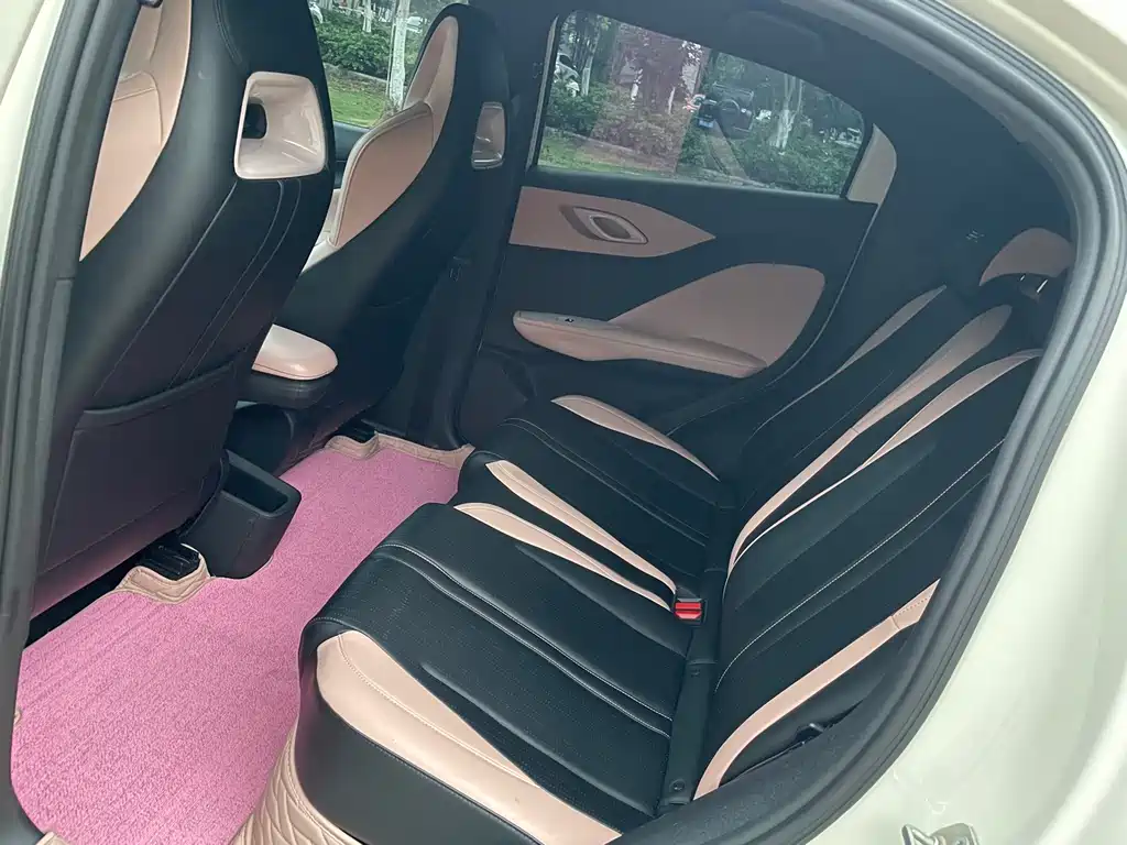 BYD Seagull 2024