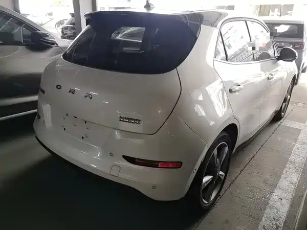 Ora Good Cat 2022