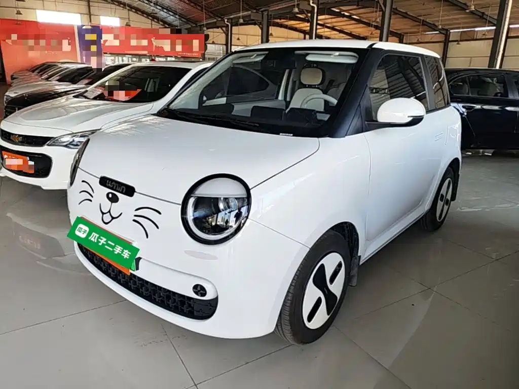 Qiyuan Lumin 2025