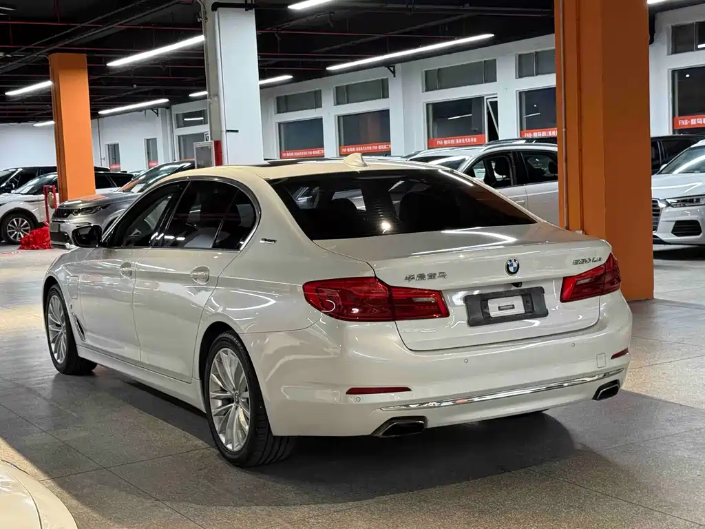 BMW 5 Series New Energy 2019