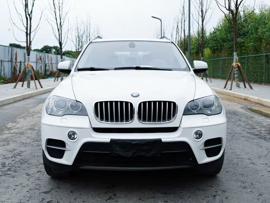 BMW X5 2013 — фото 2