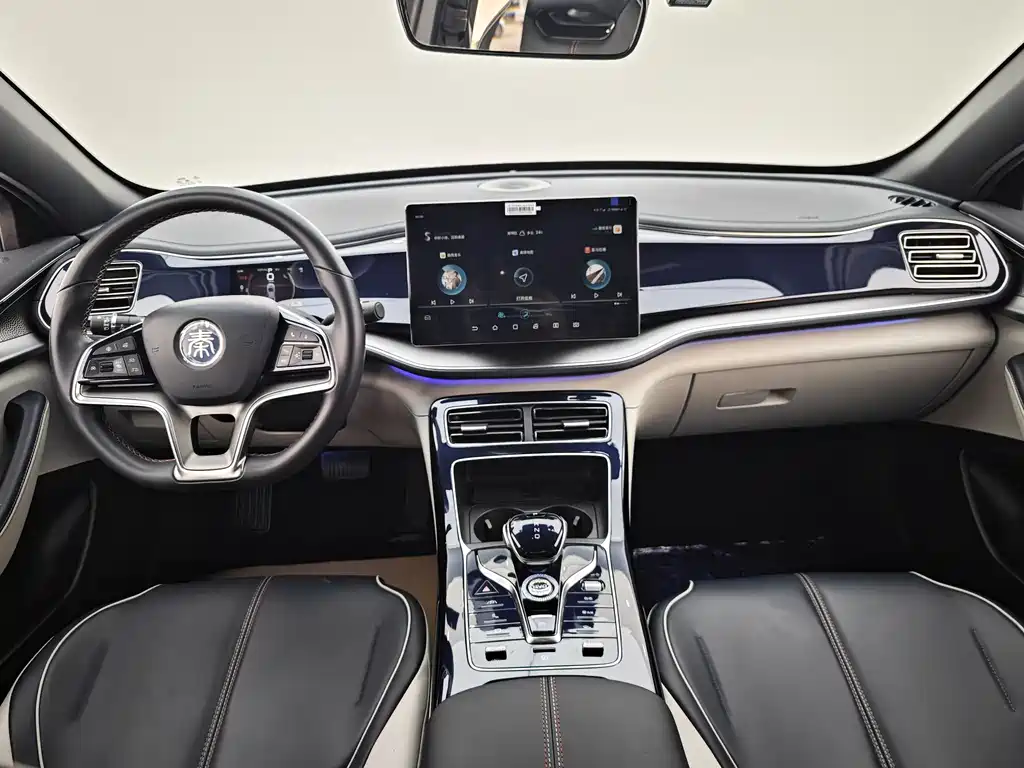 BYD Qin PLUS 2023 — фото 8