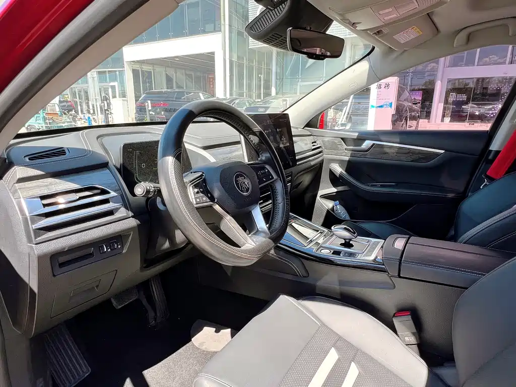 BYD Qin Pro NEV 2020 — фото 5