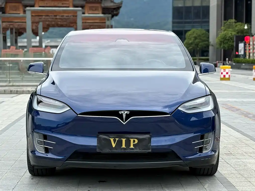Tesla Model X 2017 — фото 2