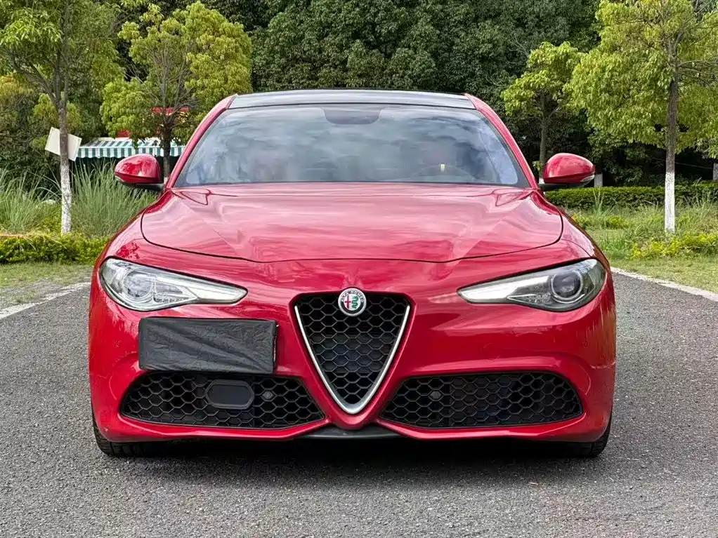 Alfa Romeo Giulia 2019 — фото 2