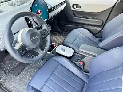 MINI MINI 2025