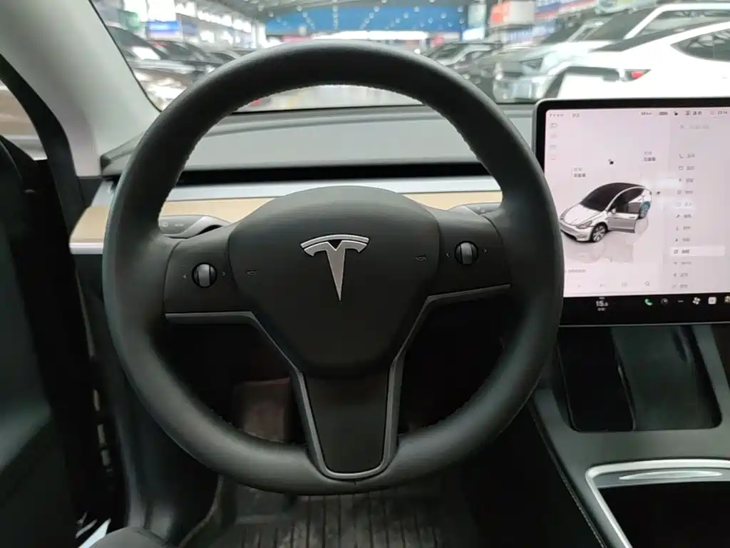 Tesla Model Y 2023 — фото 11