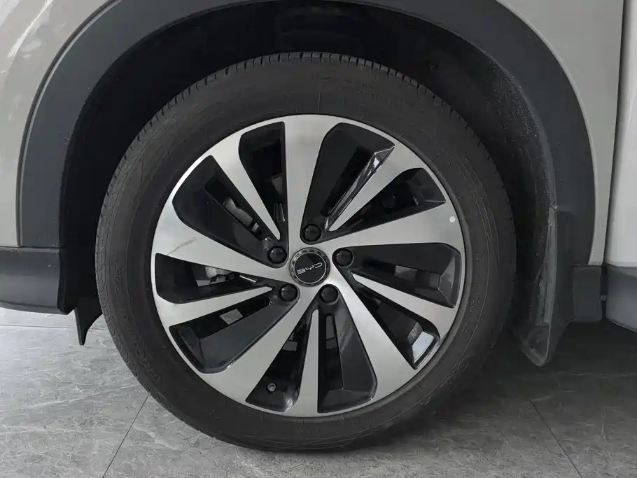 BYD Song PLUS New Energy 2024 — фото 6