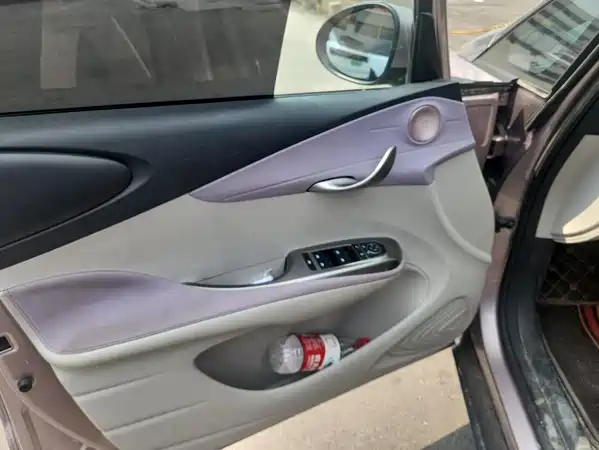 BYD Dolphin 2022