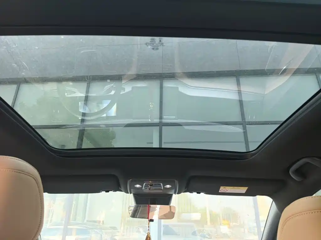 BYD L DM-i 2024 — фото 18