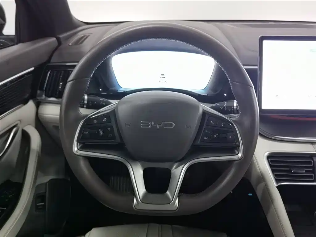 BYD PLUS New Energy 2025 — фото 11