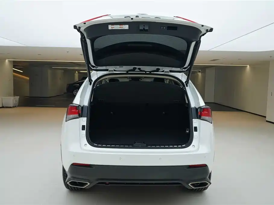 Lexus NX 2019