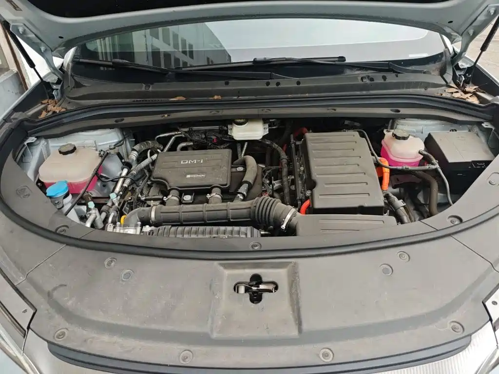 BYD Song L DM-i 2024 — фото 11