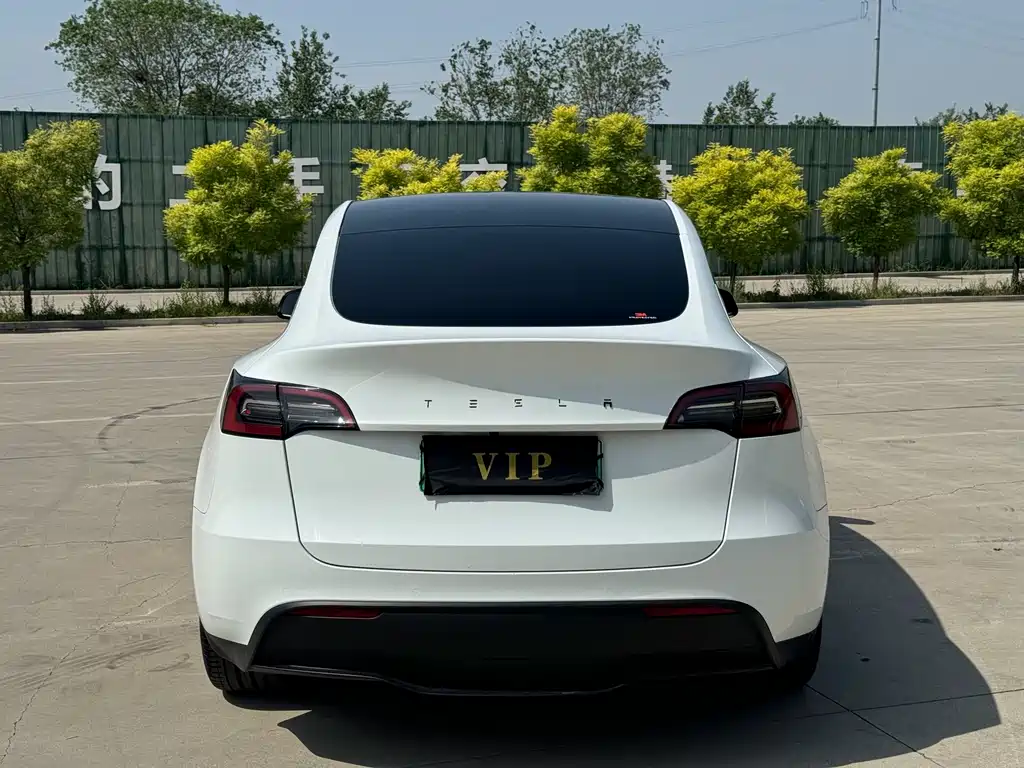 Tesla Model Y 2023 — фото 17