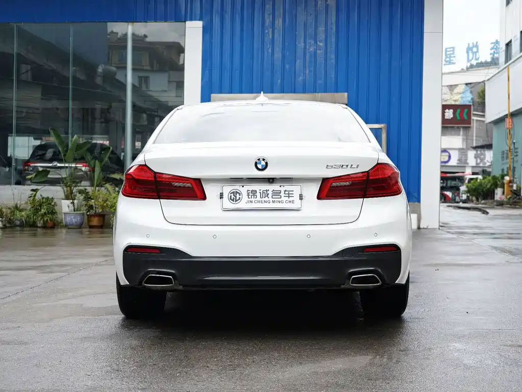 BMW 5 Series 2019