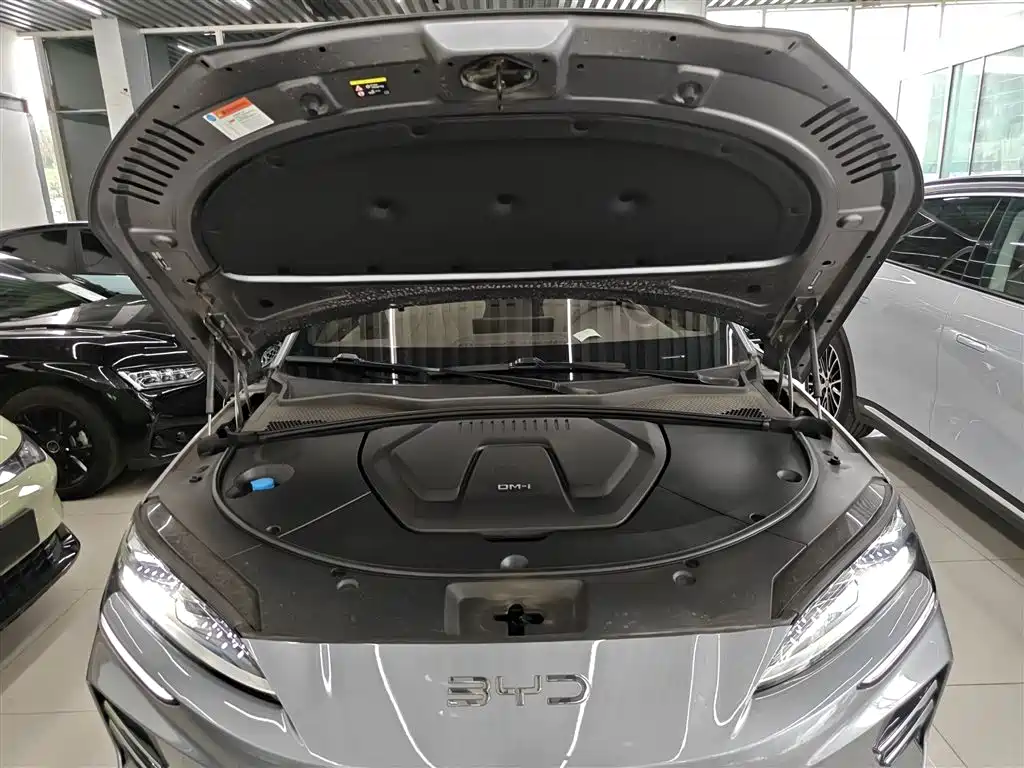 BYD PLUS New Energy 2024 — фото 20
