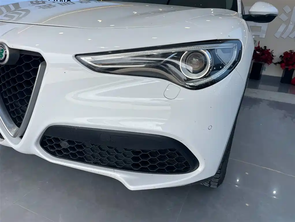 Alfa Romeo Stelvio 2019 — фото 18