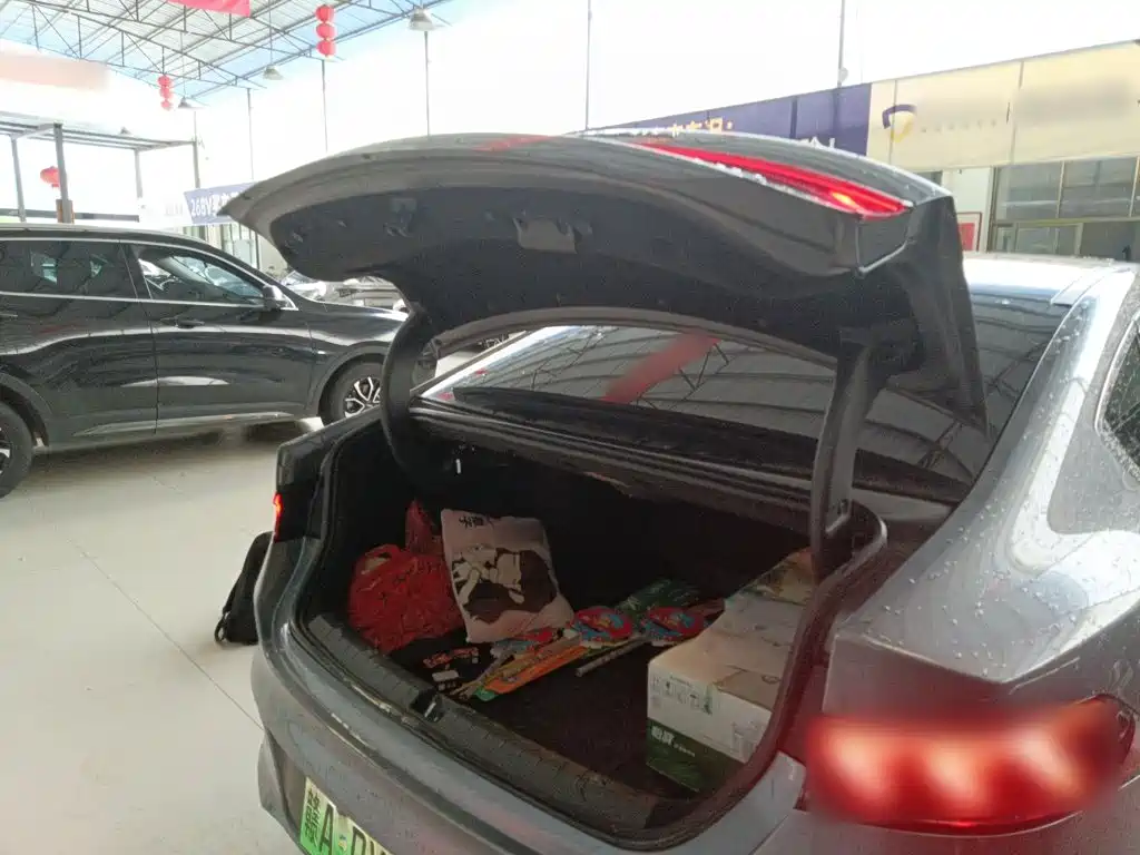 BYD Qin PLUS 2023 — фото 15