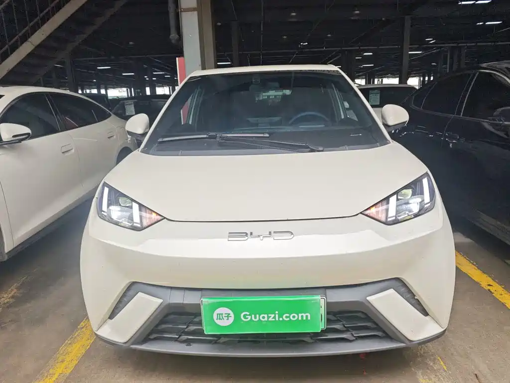 BYD Seagull 2024