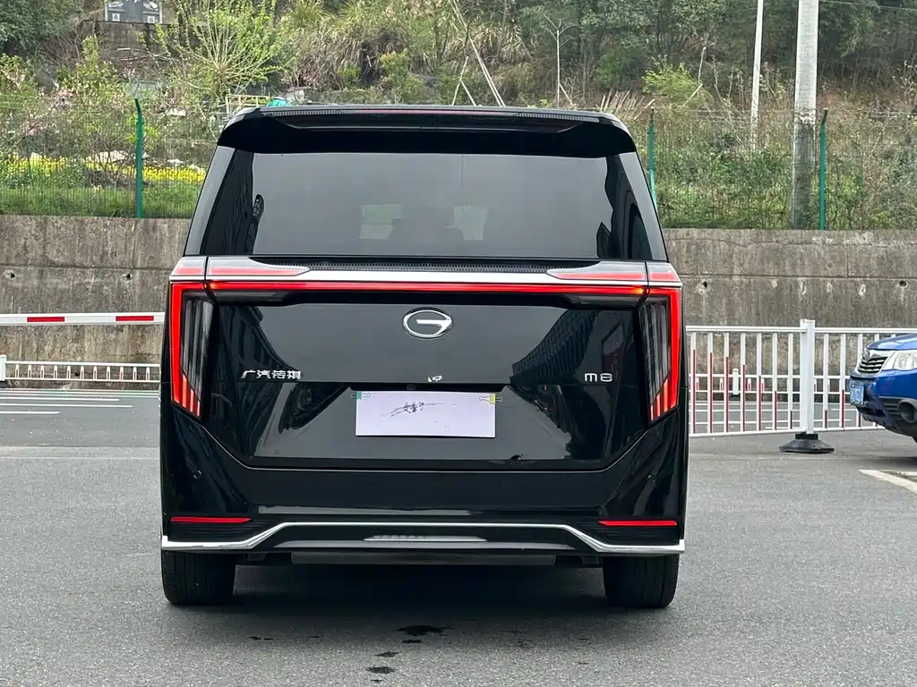 GAC Motor Trumpchi M8 2024 — фото 17