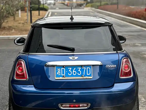 MINI MINI 2012
