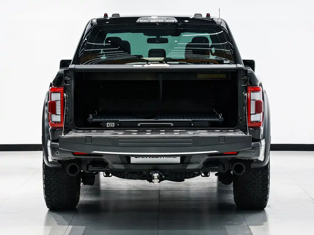 Ford F-150 Raptor 2023 — фото 13