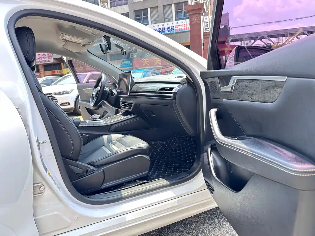 BYD Qin Pro New Energy 2019 — фото 7