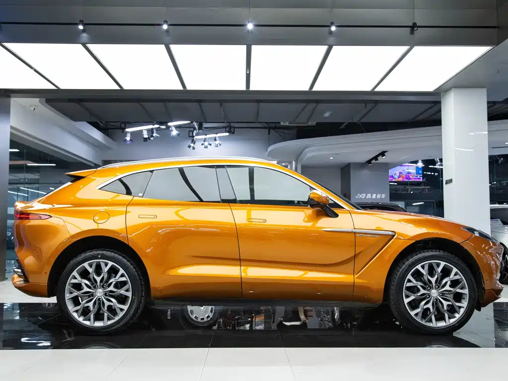 Aston Martin DBX 2022 — фото 13
