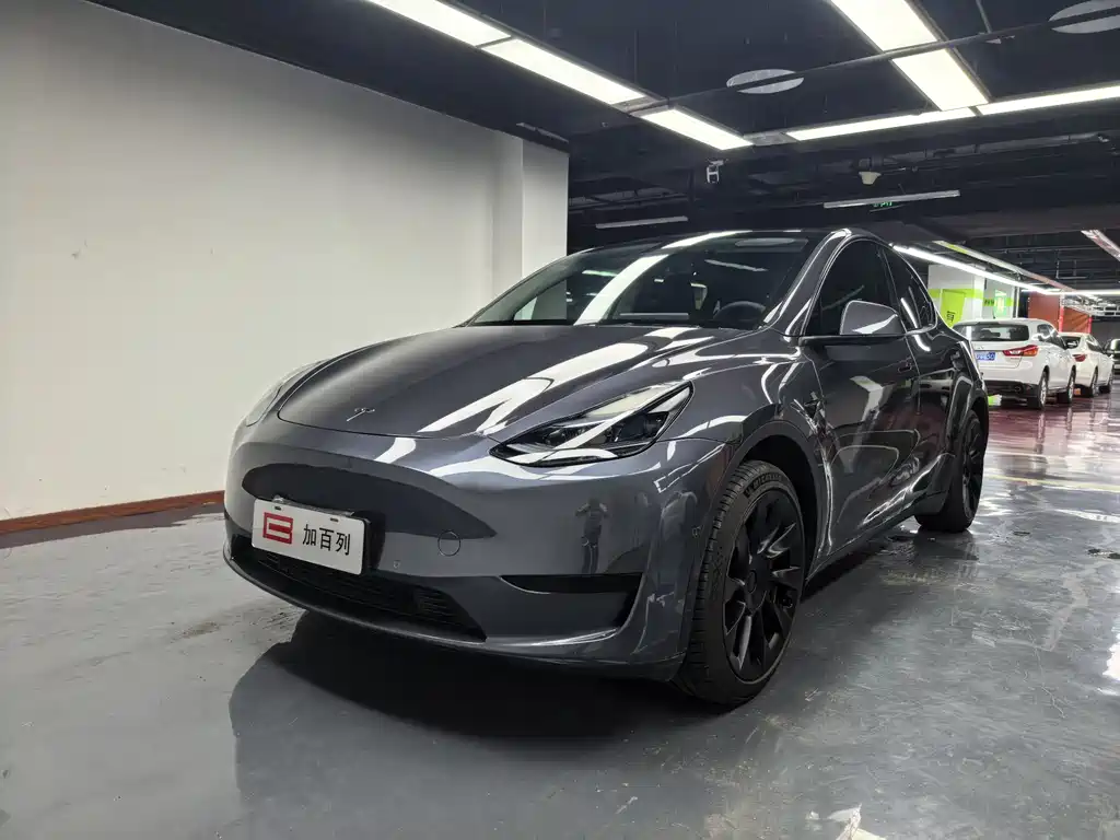 Tesla Model Y 2023 — фото 1