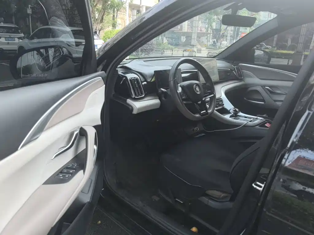 BYD Pro New Energy 2024 — фото 14