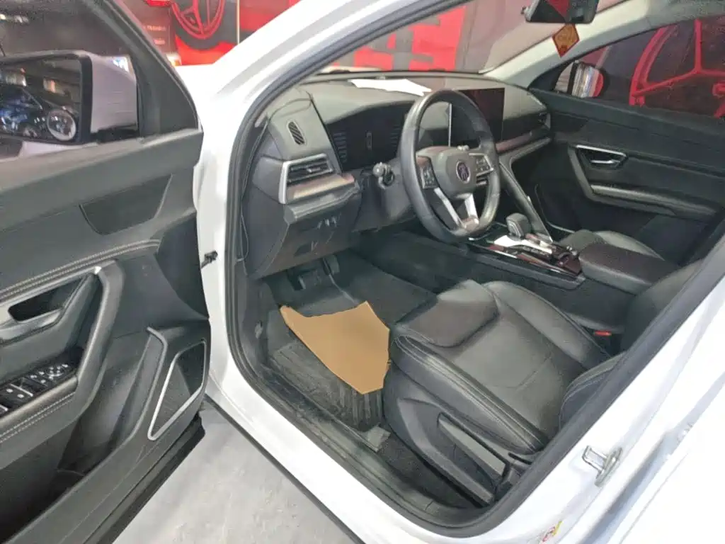 BYD Song Pro 2020 — фото 16
