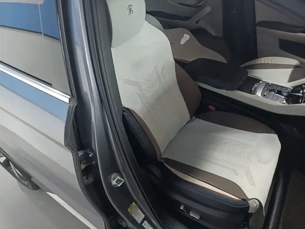 BYD PLUS New Energy 2022 — фото 25