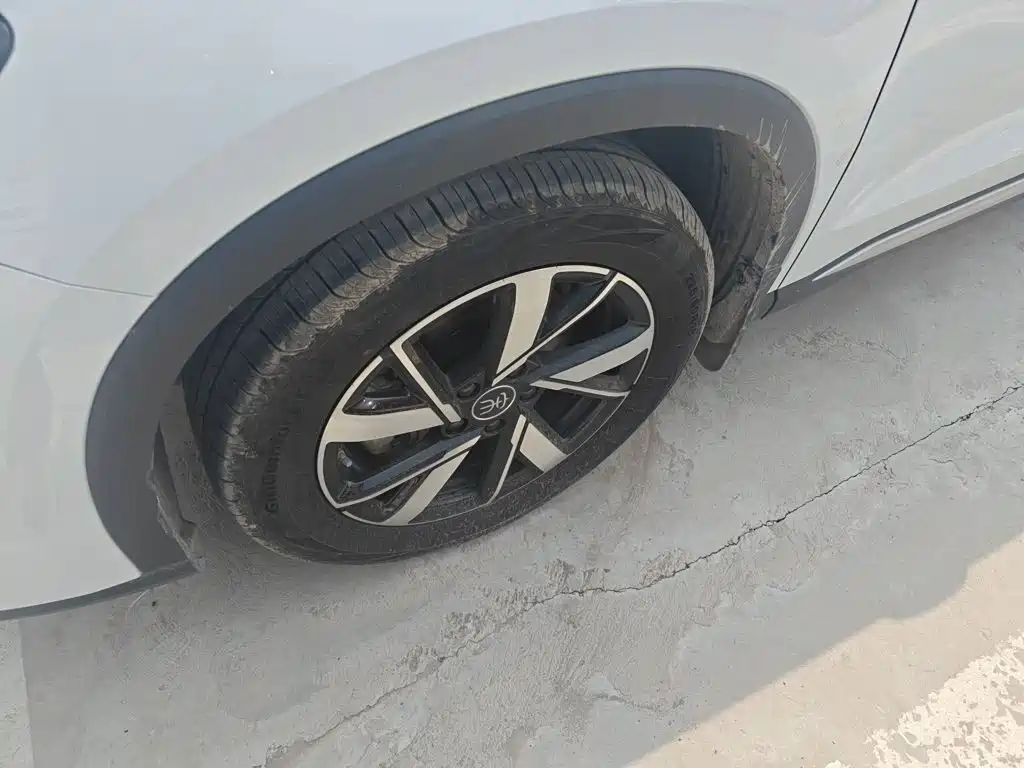 BYD Song Pro New Energy 2025 — фото 25