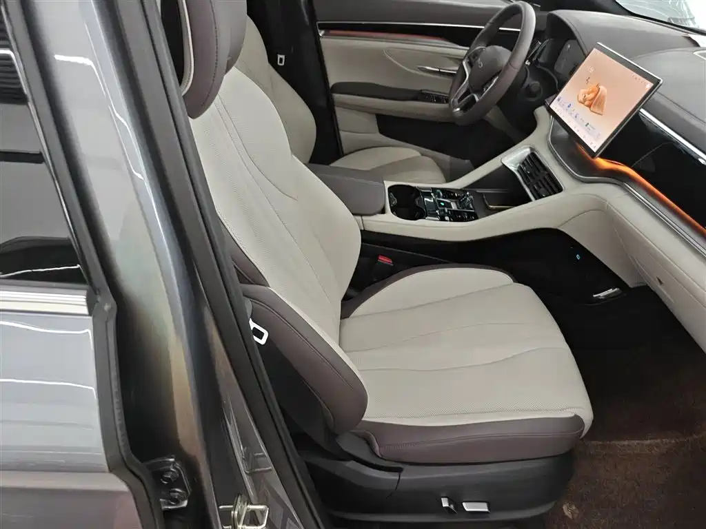 BYD PLUS New Energy 2024 — фото 25