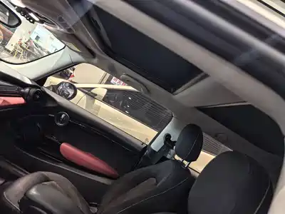 MINI MINI 2019