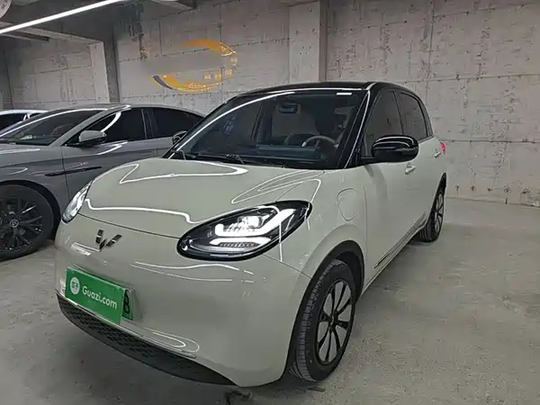 Wuling Bingo 2024