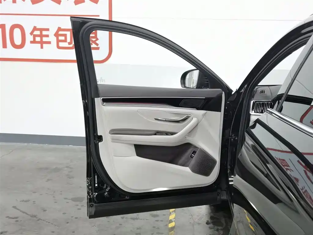 BYD PLUS New Energy 2025 — фото 8