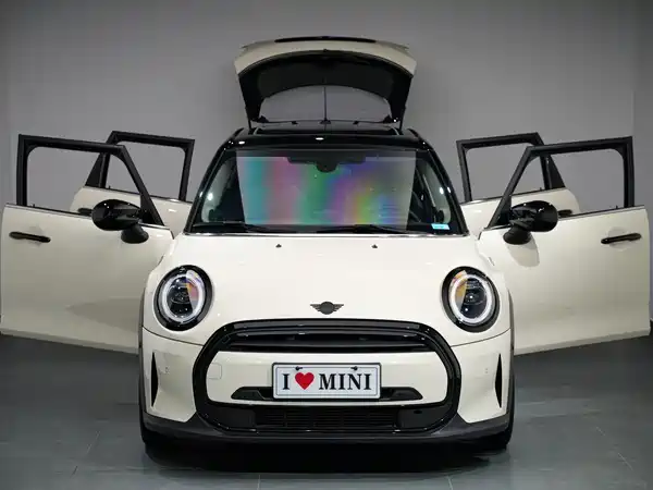 MINI 2022