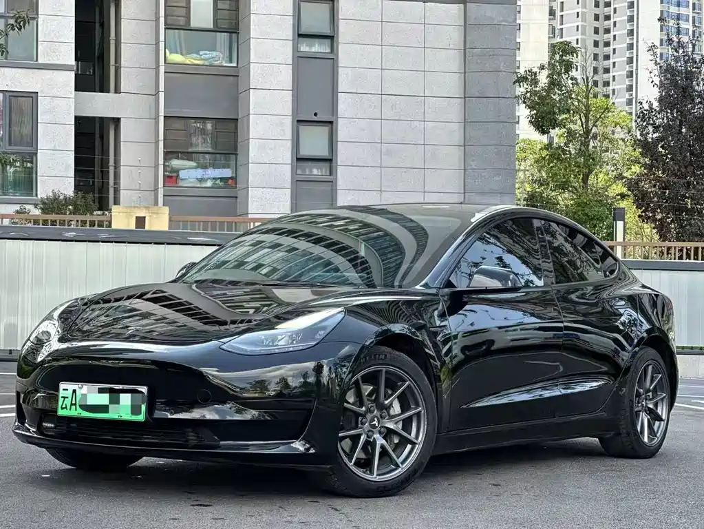 Tesla Model 3 2021 — фото 1