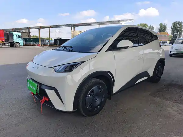 BYD Seagull 2024
