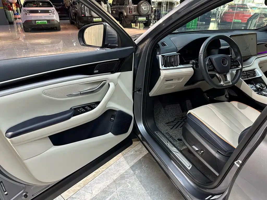 BYD PLUS New Energy 2022 — фото 8