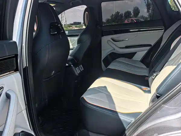 BYD Song PLUS New Energy 2024