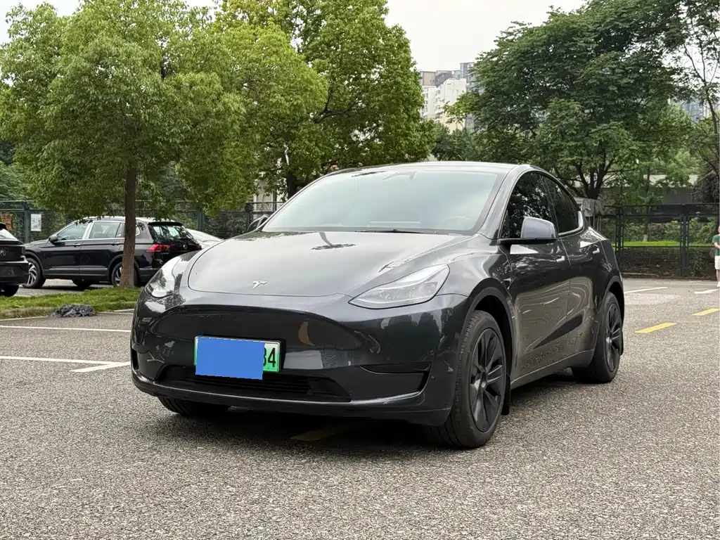 Tesla Model Y 2024 — фото 1