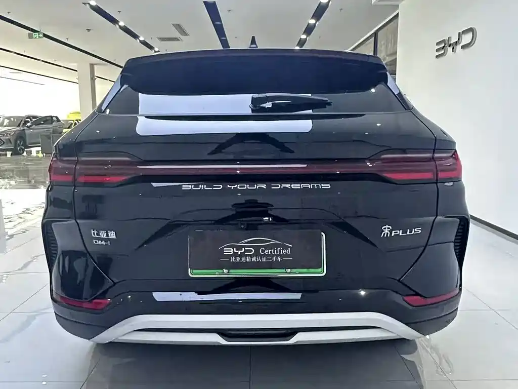BYD Song PLUS New Energy 2024 — фото 10