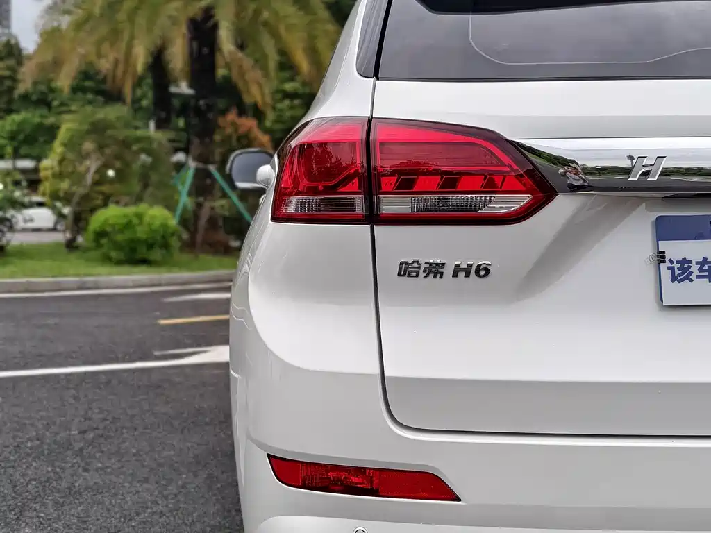 Haval H6 Coupe 2020 — фото 9