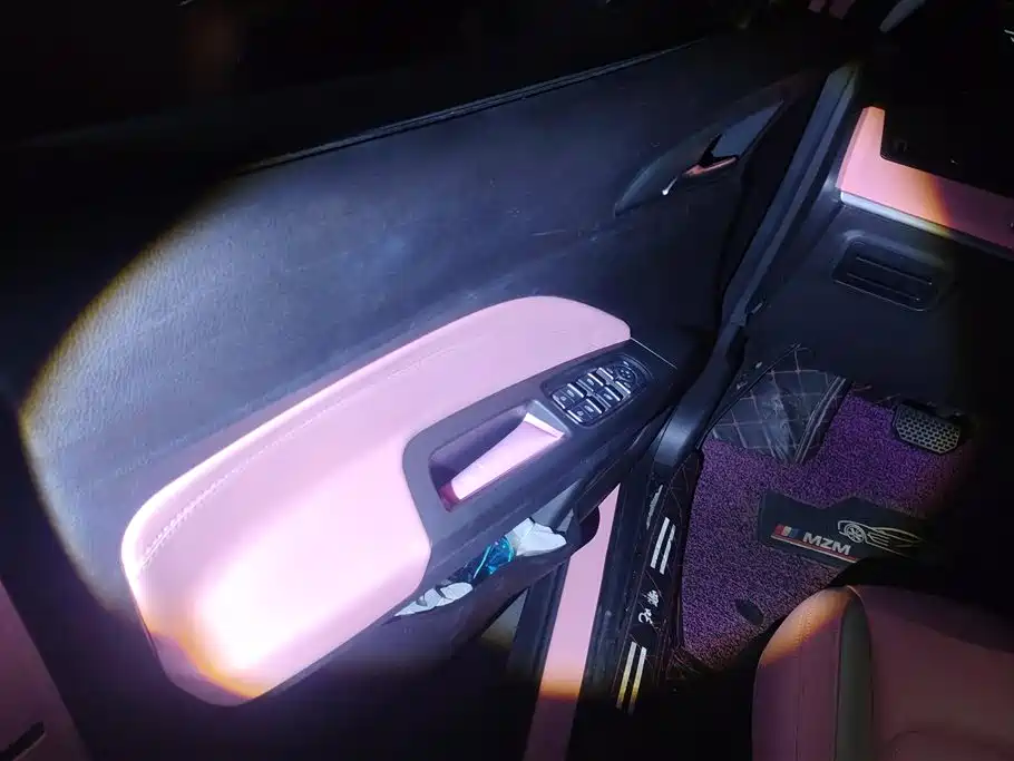 Neta V 2022